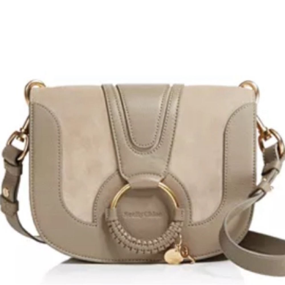 Chloe Hana Suede and Leather Crossbody